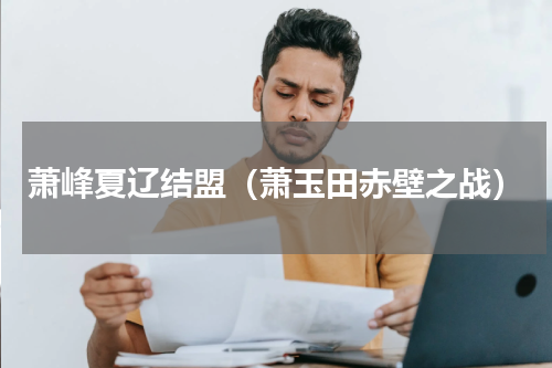萧峰夏辽结盟（萧玉田赤壁之战）