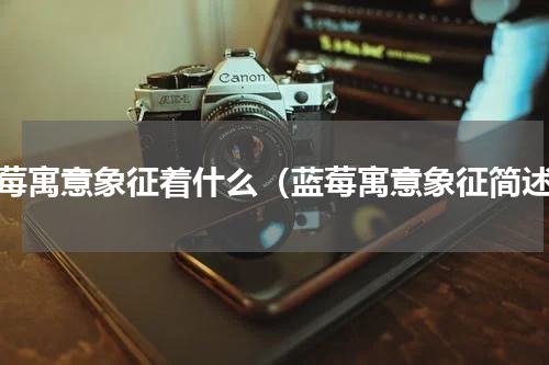 蓝莓寓意象征着什么（蓝莓寓意象征简述）