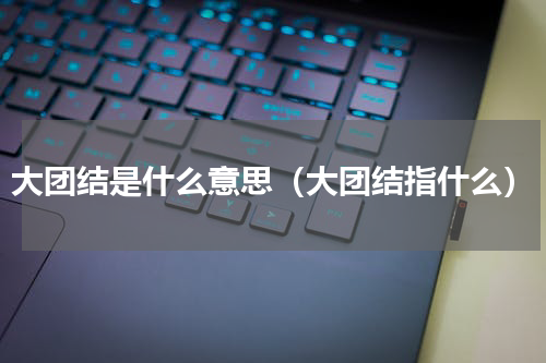 大团结是什么意思（大团结指什么）