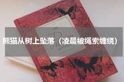 熊猫从树上坠落（凌晨被绳索缠绕）