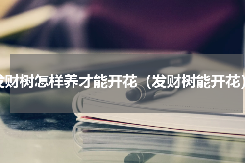 发财树怎样养才能开花（发财树能开花）