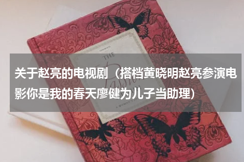 关于赵亮的电视剧（搭档黄晓明赵亮参演电影你是我的春天廖健为儿子当助理）