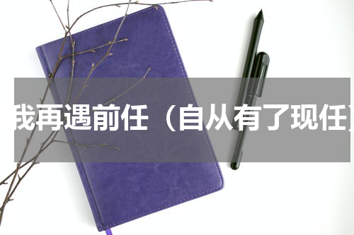 当我再遇前任（自从有了现任）