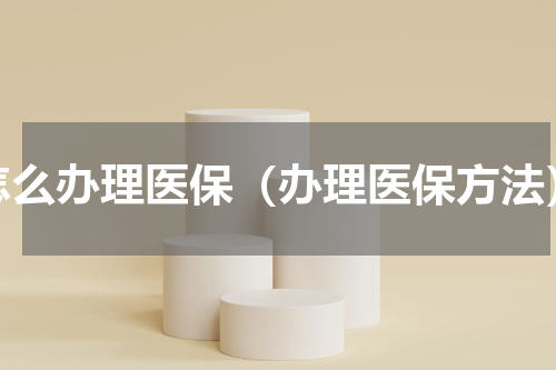 怎么办理医保（办理医保方法）