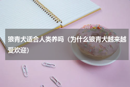 狼青犬适合人类养吗（为什么狼青犬越来越受欢迎）