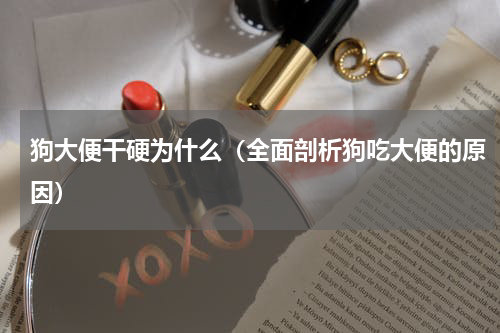 狗大便干硬为什么（全面剖析狗吃大便的原因）