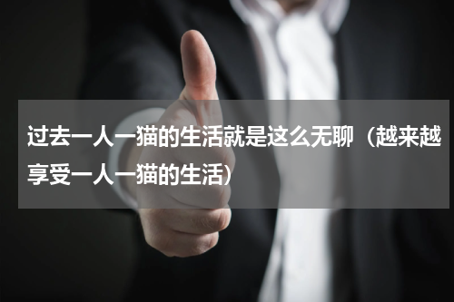 过去一人一猫的生活就是这么无聊（越来越享受一人一猫的生活）