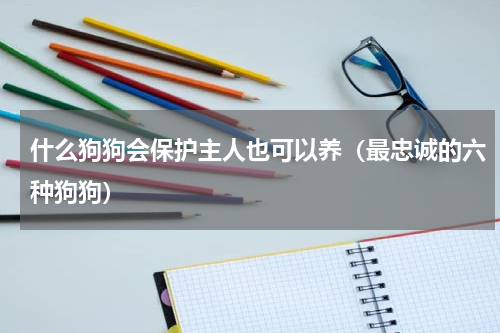 什么狗狗会保护主人也可以养（最忠诚的六种狗狗）