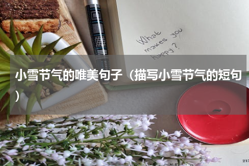 小雪节气的唯美句子（描写小雪节气的短句）
