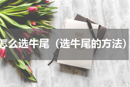 怎么选牛尾（选牛尾的方法）