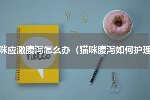 猫咪应激腹泻怎么办（猫咪腹泻如何护理）