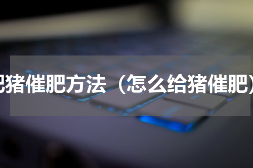 肥猪催肥方法（怎么给猪催肥）