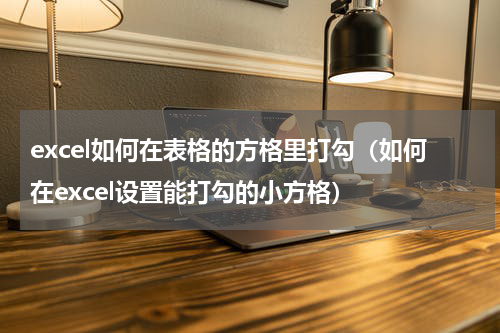 excel如何在表格的方格里打勾（如何在excel设置能打勾的小方格）