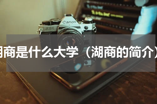 湖商是什么大学（湖商的简介）