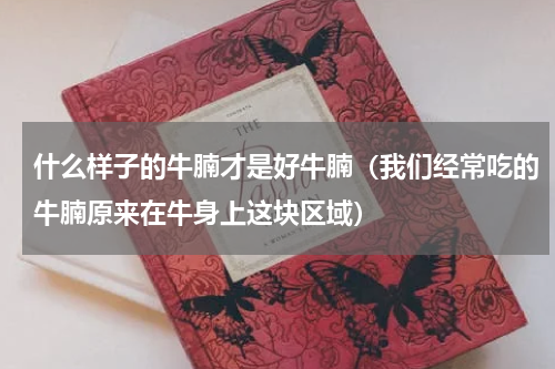 什么样子的牛腩才是好牛腩（我们经常吃的牛腩原来在牛身上这块区域）