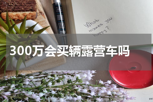 300万会买辆露营车吗