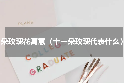 11朵玫瑰花寓意（十一朵玫瑰代表什么）