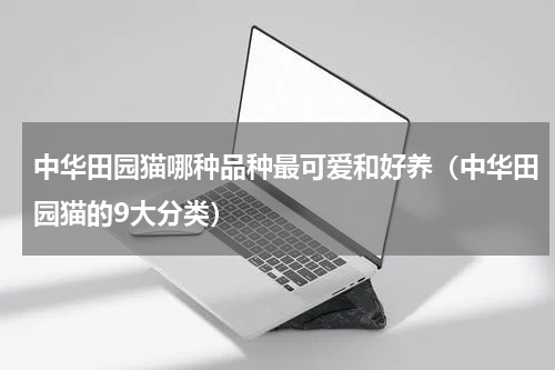 中华田园猫哪种品种最可爱和好养（中华田园猫的9大分类）