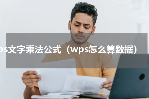 wps文字乘法公式（wps怎么算数据）