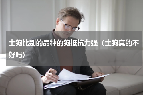 土狗比别的品种的狗抵抗力强（土狗真的不好吗）