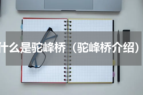 什么是驼峰桥（驼峰桥介绍）