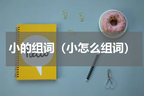 小的组词（小怎么组词）