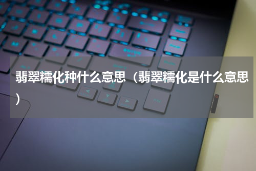 翡翠糯化种什么意思（翡翠糯化是什么意思）