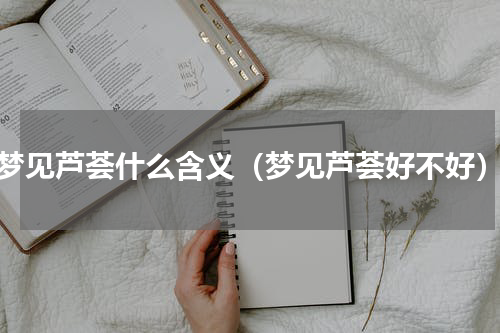 梦见芦荟什么含义（梦见芦荟好不好）