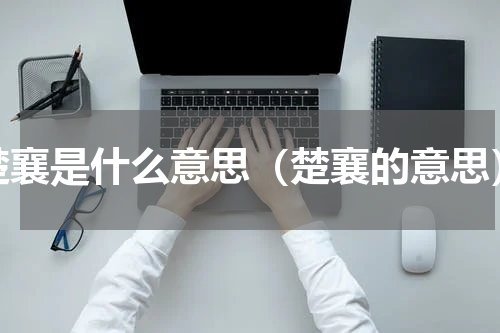 楚襄是什么意思（楚襄的意思）