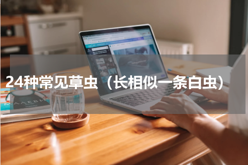 24种常见草虫（长相似一条白虫）