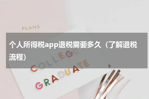 个人所得税app退税需要多久（了解退税流程）