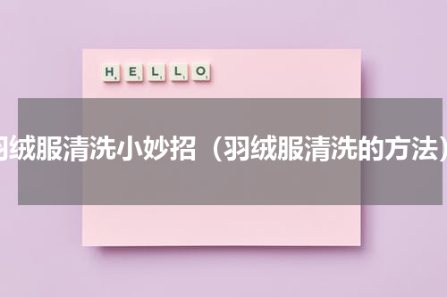羽绒服清洗小妙招（羽绒服清洗的方法）