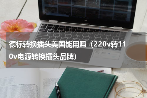 德标转换插头美国能用吗（220v转110v电源转换插头品牌）