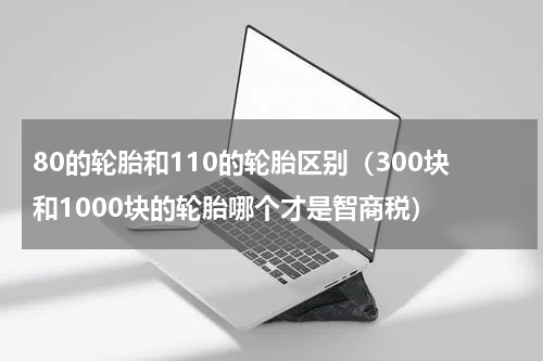 80的轮胎和110的轮胎区别（300块和1000块的轮胎哪个才是智商税）