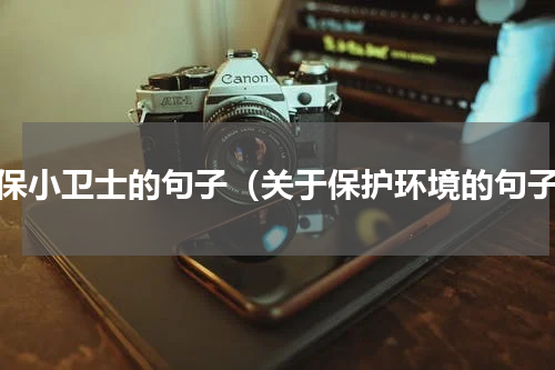 环保小卫士的句子（关于保护环境的句子）