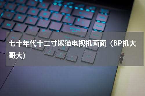 七十年代十二寸熊猫电视机画面（BP机大哥大）