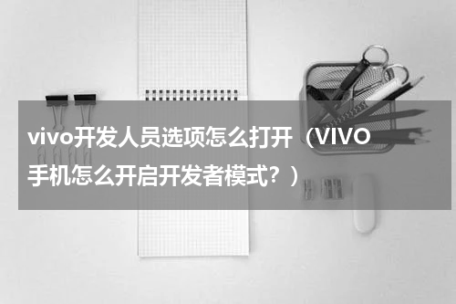 vivo开发人员选项怎么打开（VIVO手机怎么开启开发者模式？）