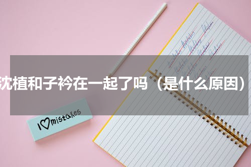 沈植和子衿在一起了吗（是什么原因）