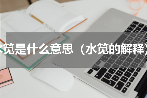 水笕是什么意思（水笕的解释）