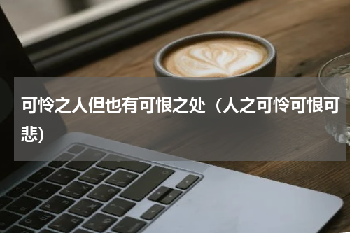 可怜之人但也有可恨之处（人之可怜可恨可悲）