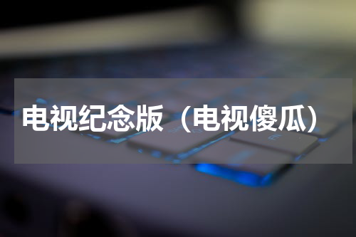 电视纪念版（电视傻瓜）