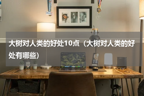 大树对人类的好处10点（大树对人类的好处有哪些）