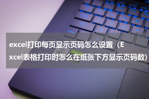 excel打印每页显示页码怎么设置（Excel表格打印时怎么在纸张下方显示页码数）