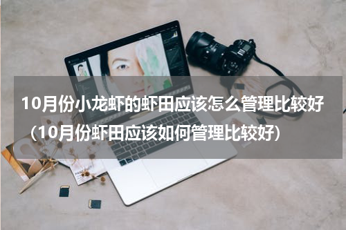 10月份小龙虾的虾田应该怎么管理比较好（10月份虾田应该如何管理比较好）