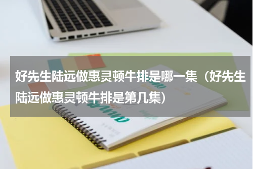 好先生陆远做惠灵顿牛排是哪一集（好先生陆远做惠灵顿牛排是第几集）