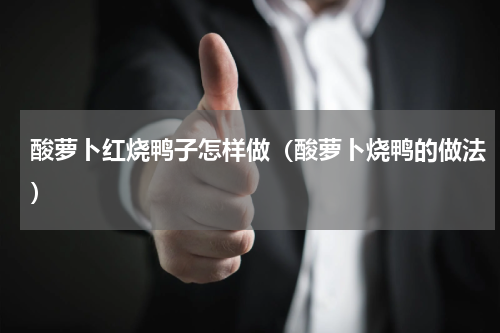 酸萝卜红烧鸭子怎样做（酸萝卜烧鸭的做法）