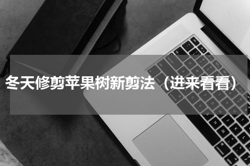 冬天修剪苹果树新剪法（进来看看）