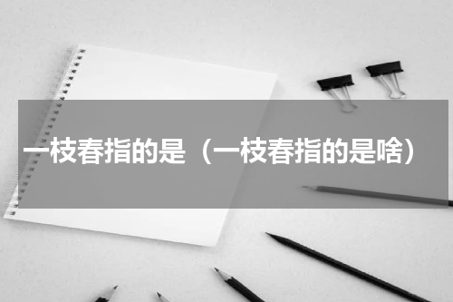一枝春指的是（一枝春指的是啥）