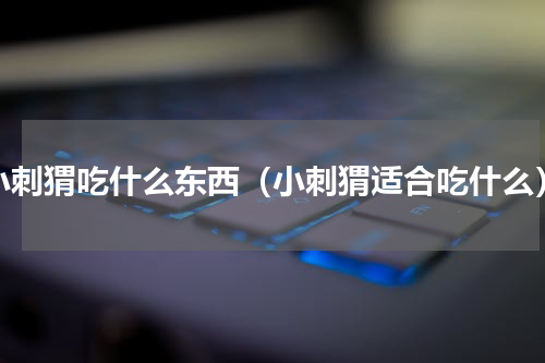 小刺猬吃什么东西（小刺猬适合吃什么）
