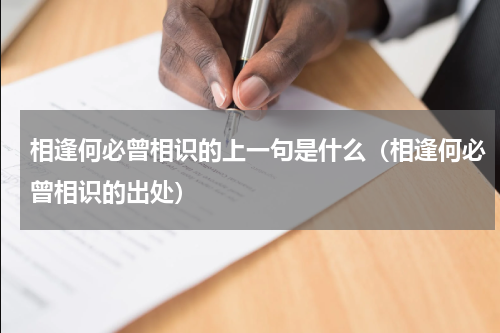 相逢何必曾相识的上一句是什么（相逢何必曾相识的出处）
